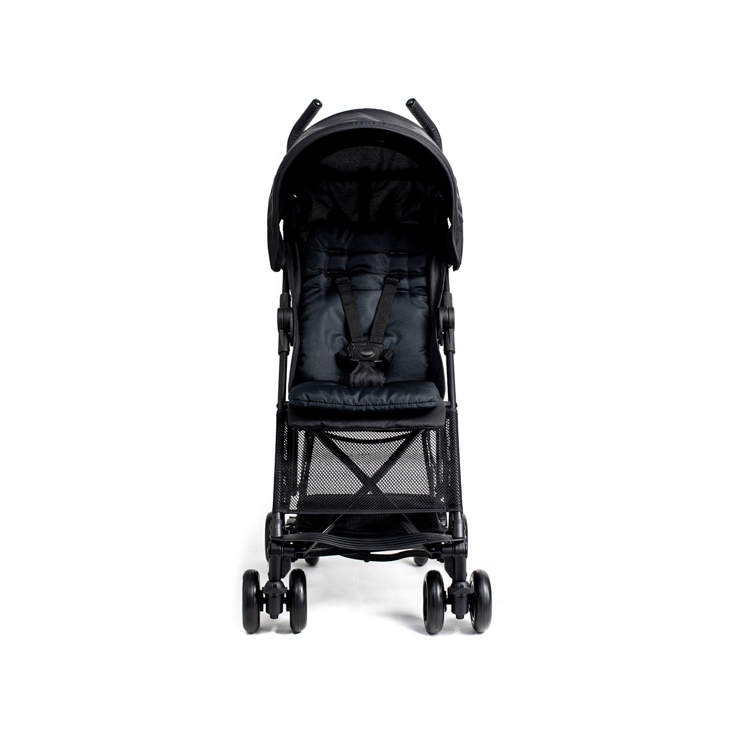 Warehouse Clearance Roma Rizzo 2 - Teddy Black