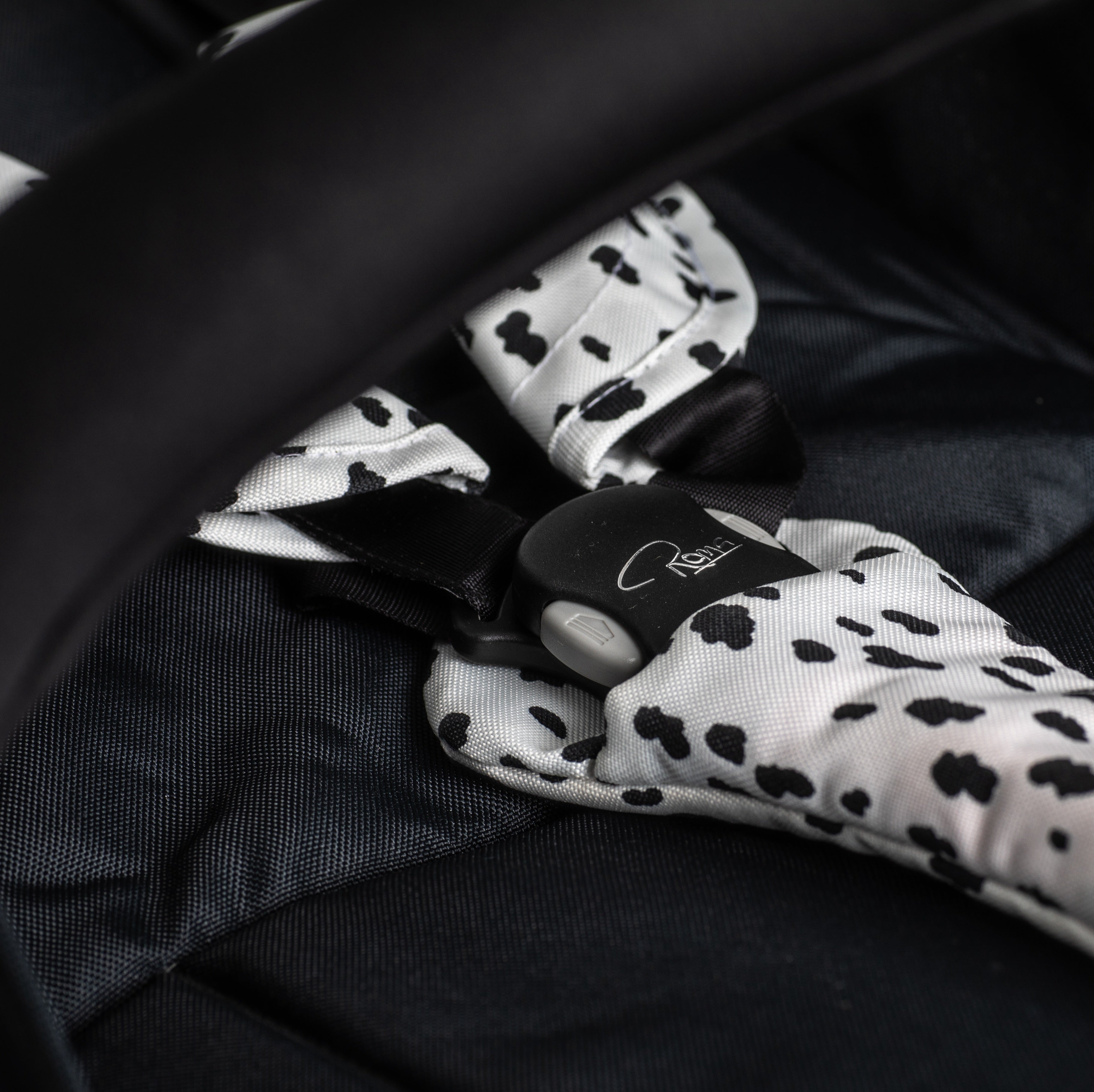 Roma Capsule³ -  Dalmatian