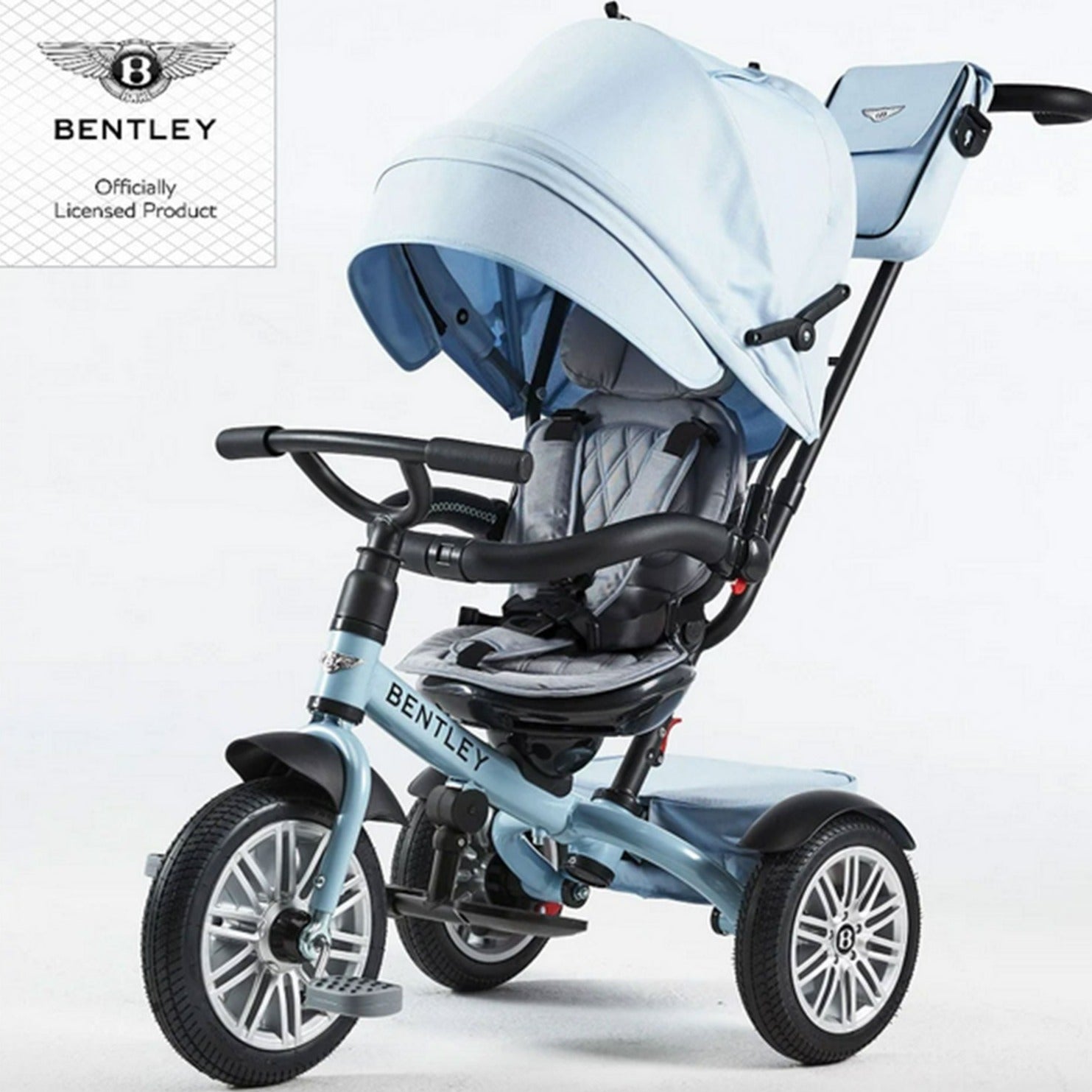 Bentley Trike - Push Handle Bag