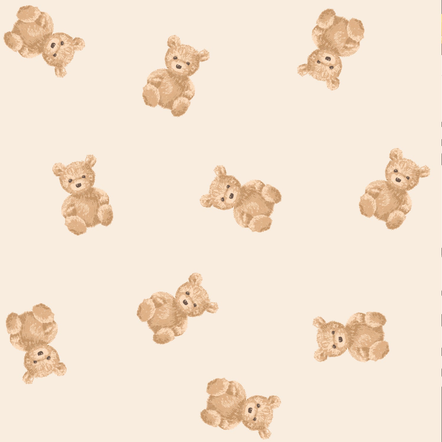 Roma Teddy Nurture Bundle