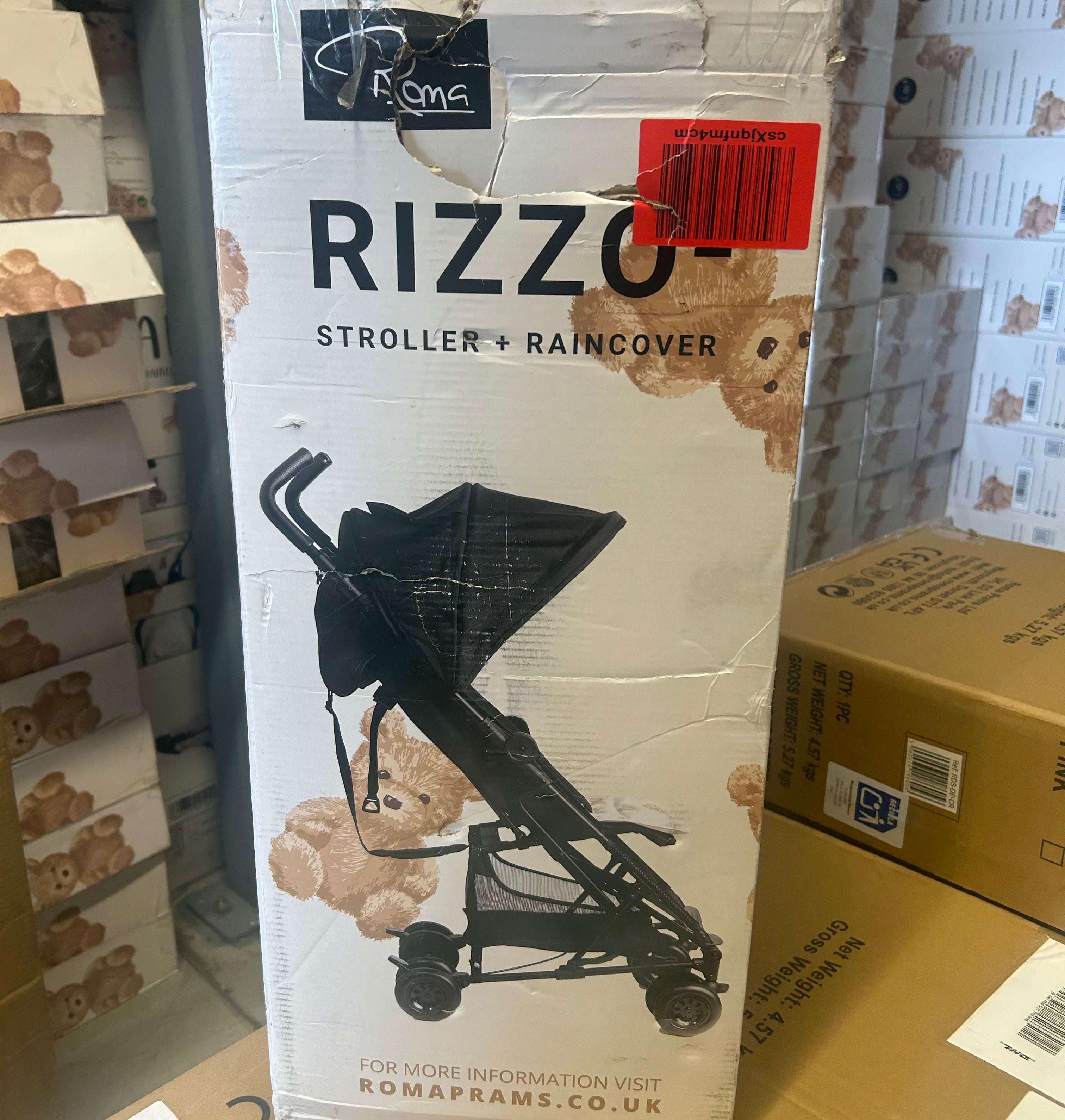 Warehouse Clearance Roma Rizzo 2 - Teddy Cream