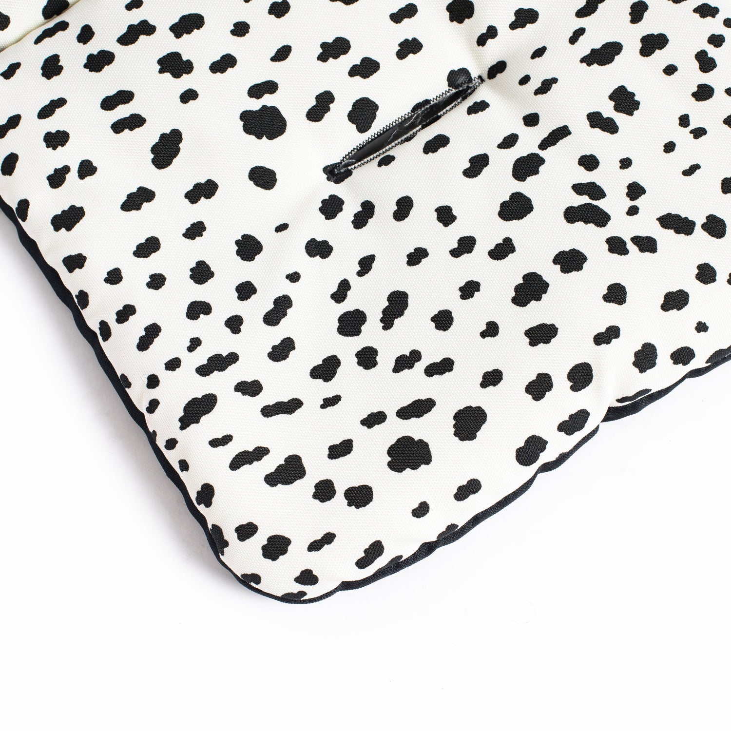 Roma Gemini 2 Colour Pack - Dalmatian