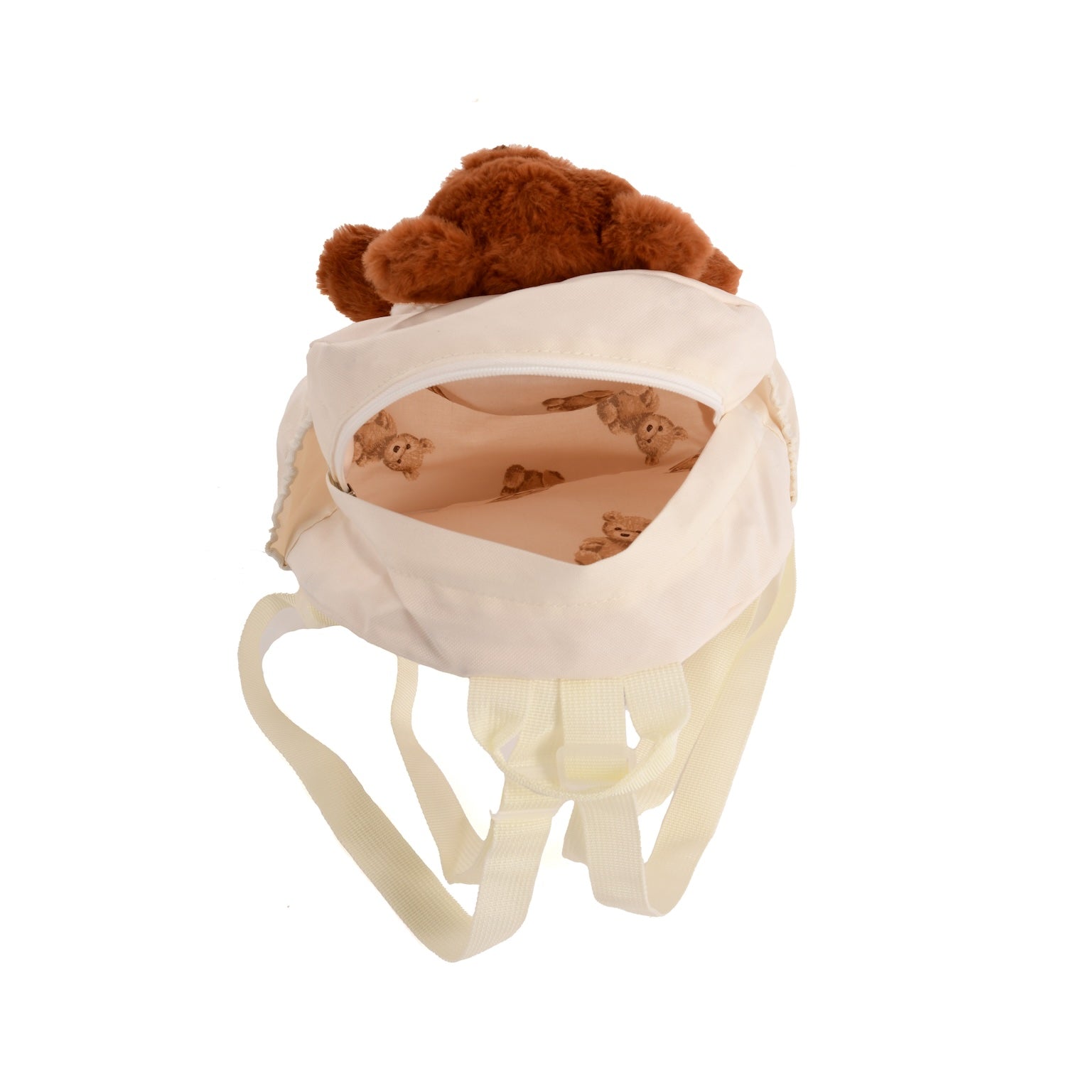 Roma Teddy Extras Bundle