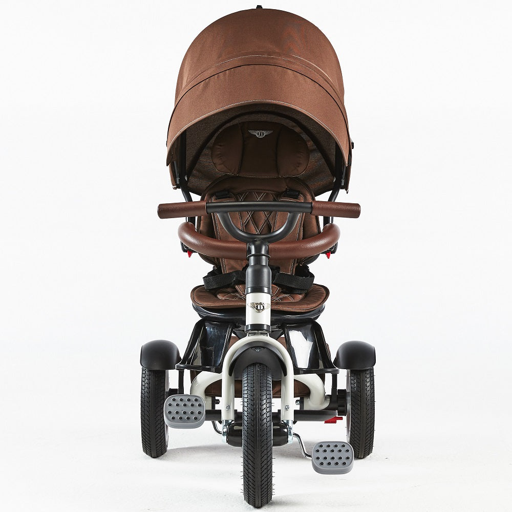 Bentley Trike - Head Rest Replacement